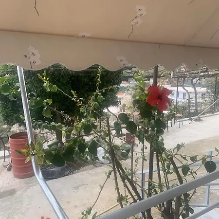 View Apartment